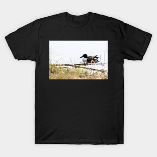 Duck on Pond T-Shirt